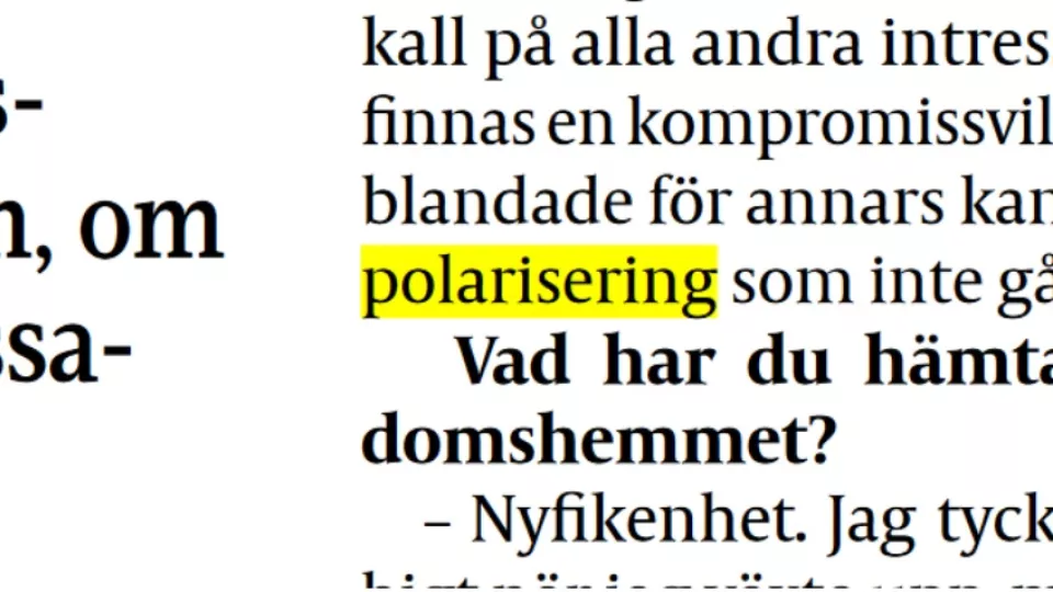 Urklipp från en dagstidning. Ordet "polarisering" är gulmarkerat.